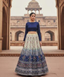 Digital Printed Lehnga.