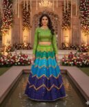 Digital Printed Lehnga.